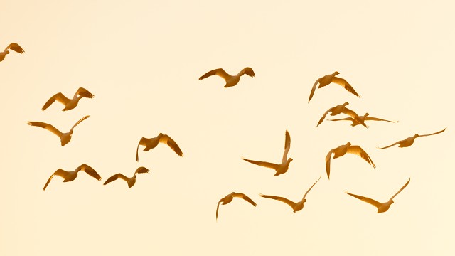 Middle Creek-230218025